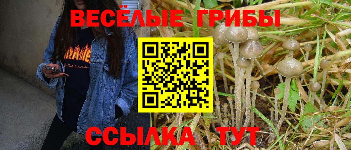 Галлюциногенные грибы мухоморы Мариинск
